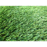 GreenSpace Educational Artificial Grass Area Rug, Jelly Bean, 6ft x 9ft