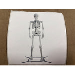 Steve the Poseable 10ft Skeleton Decoration by Way To Celebrate