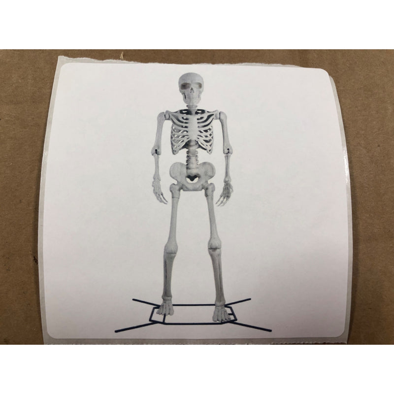 Steve the Poseable 10ft Skeleton Decoration by Way To Celebrate
