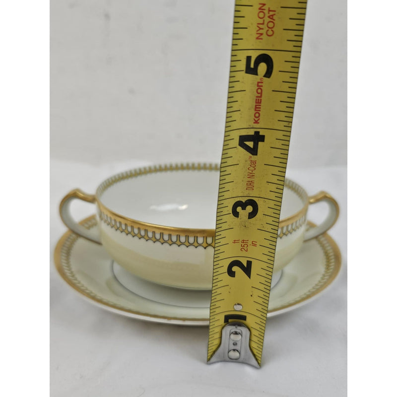 Schleiger 278 Pattern Haviland & Co. Limoges France Bouillon Cup & Saucer Set